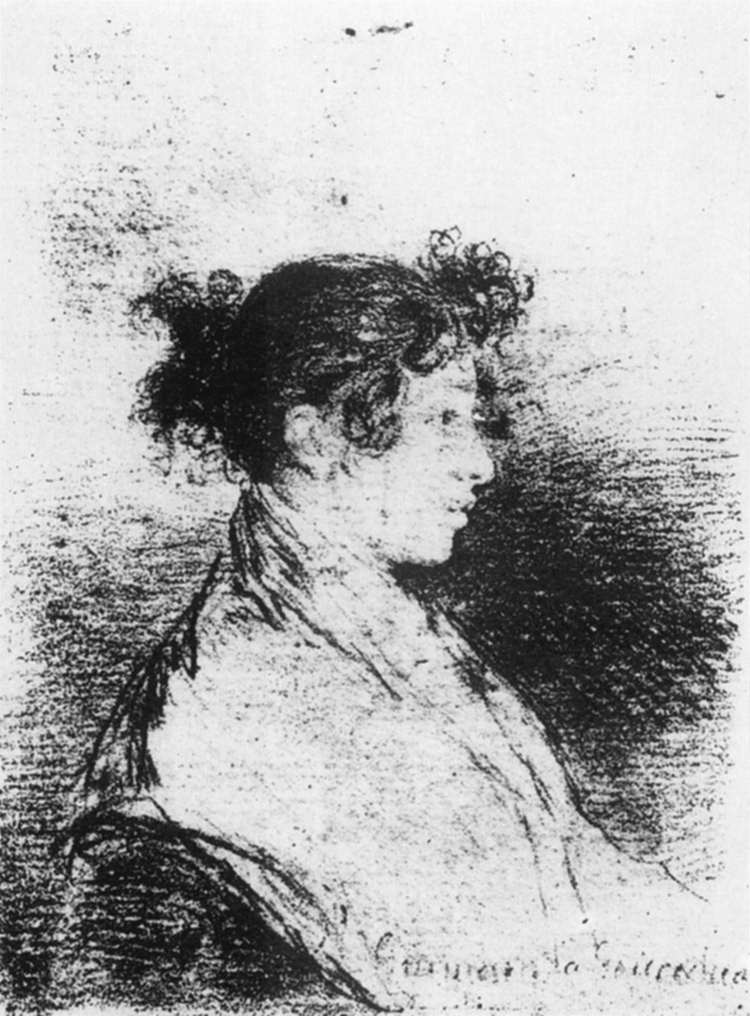 Gumersinda Goicoechea, Goya's Daughter in Law (1815).